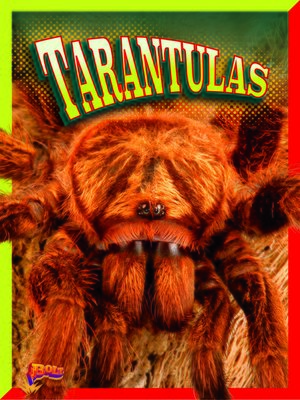 cover image of Tarantulas